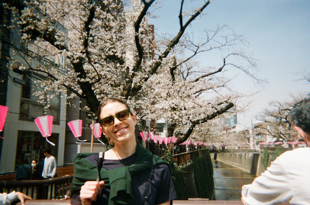Petra photographed under cherry blossom in Tokyo