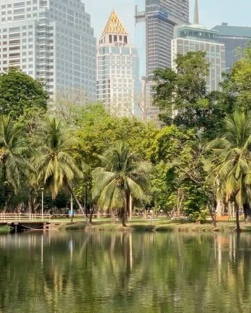 pokoj v chaose 🦎

#bangkok #postcards #thailand