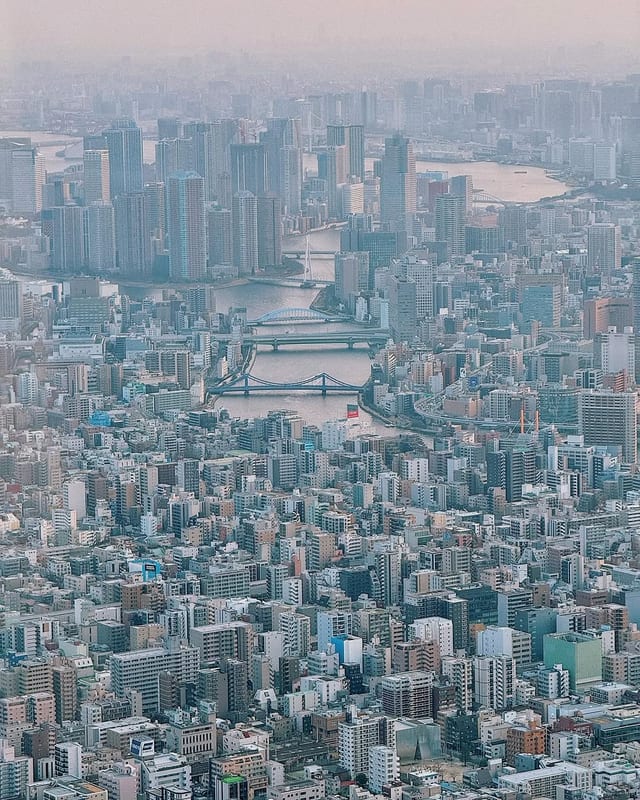 ctr+c ctrl+v

#japan #urban #fabric #greenery