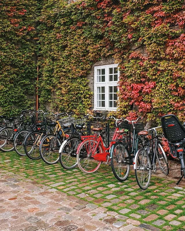 Zákutia 

#copenhagen #denmark