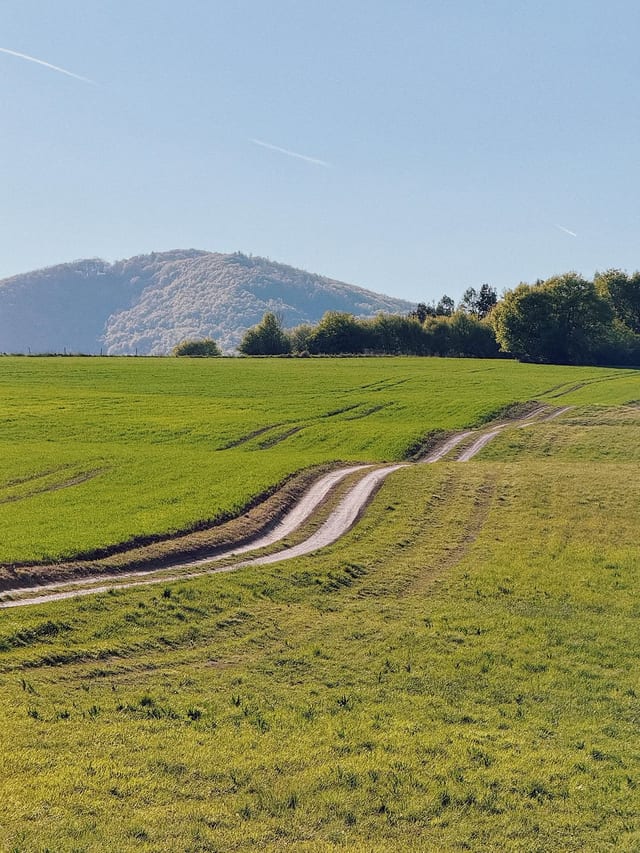 miesta nemiesta jarné

#trencin #slovakia